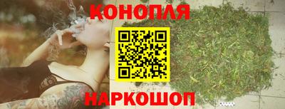 jwh Нальчик
