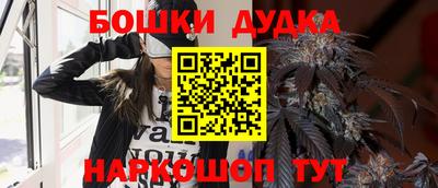 jwh Нальчик