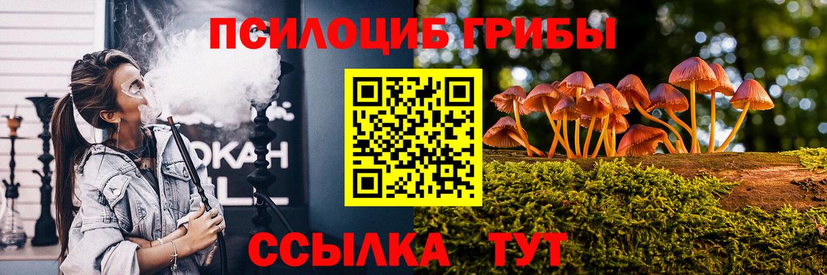 Псилоцибиновые грибы Psilocybine cubensis Шали